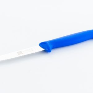 סכין משונן כחול